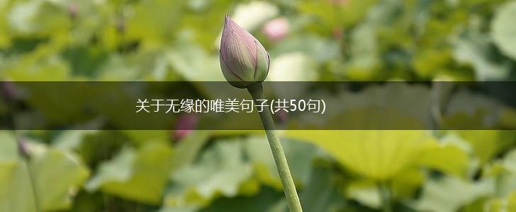 关于无缘的唯美句子(共50句),第1张