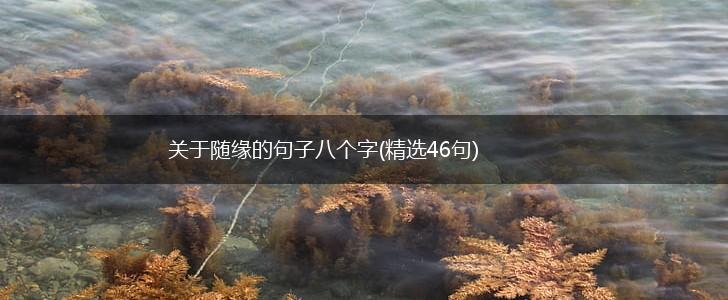 关于随缘的句子八个字(精选46句),第1张