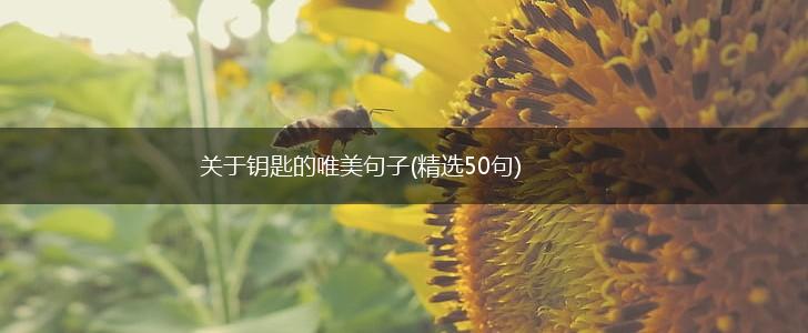 关于钥匙的唯美句子(精选50句),第1张
