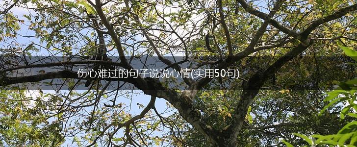 伤心难过的句子说说心情(实用50句),第1张