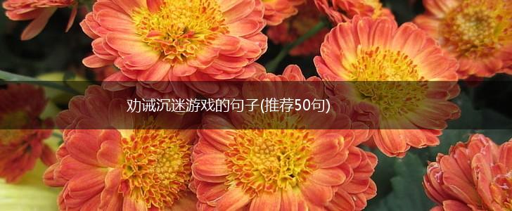劝诫沉迷游戏的句子(推荐50句),第1张