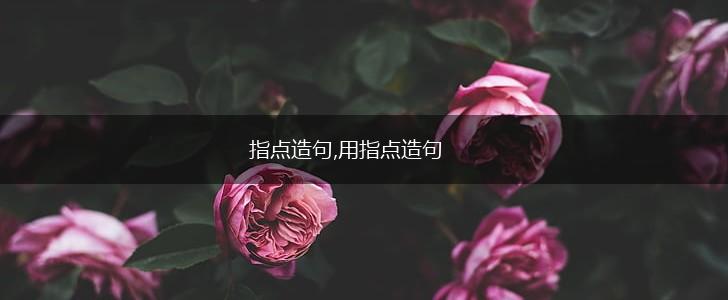 指点造句,用指点造句,第1张