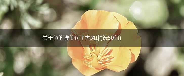 关于鱼的唯美句子古风(精选50句),第1张