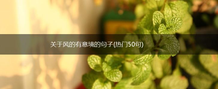 关于风的有意境的句子(热门50句),第1张