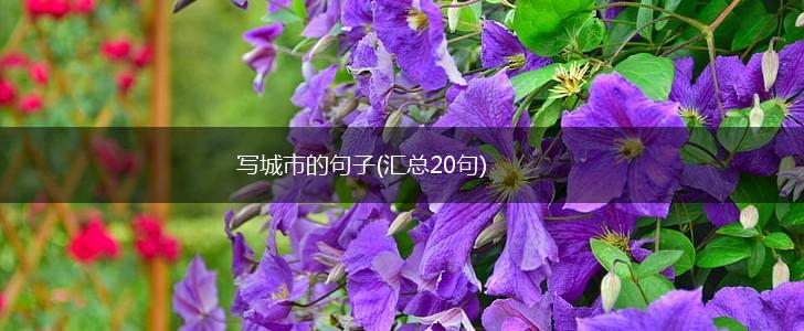 写城市的句子(汇总20句),第1张