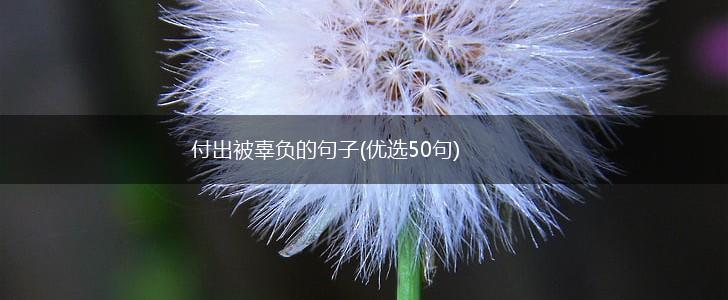 付出被辜负的句子(优选50句),第1张
