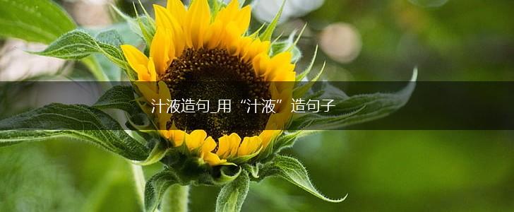 汁液造句_用“汁液”造句子,第1张