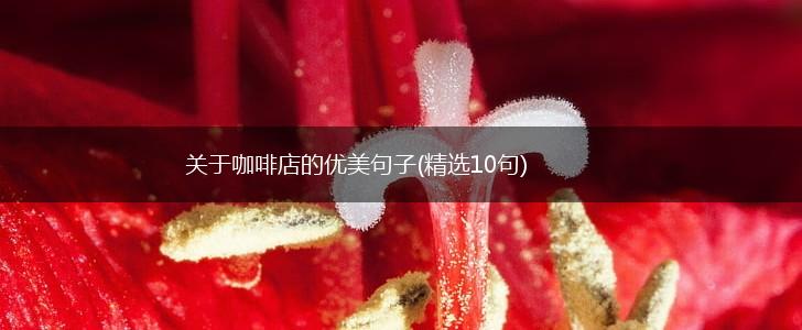关于咖啡店的优美句子(精选10句),第1张