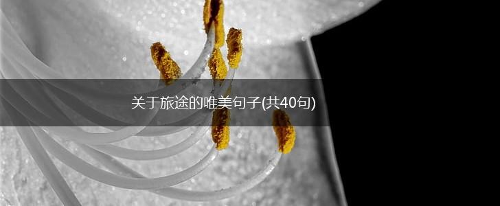 关于旅途的唯美句子(共40句),第1张