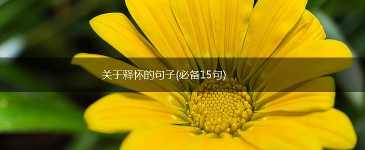 关于释怀的句子(必备15句),第1张
