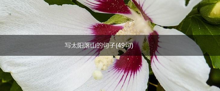 写太阳落山的句子(49句),第1张