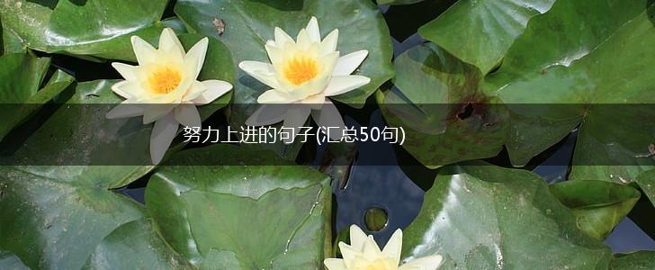 努力上进的句子(汇总50句),第1张
