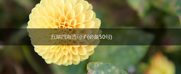 五湖四海造句子(必备50句),第1张