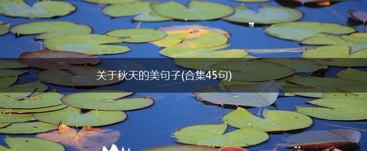 关于秋天的美句子(合集45句),第1张