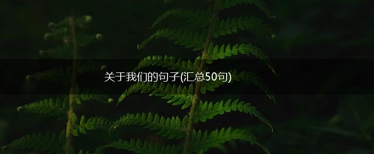 关于我们的句子(汇总50句),第1张