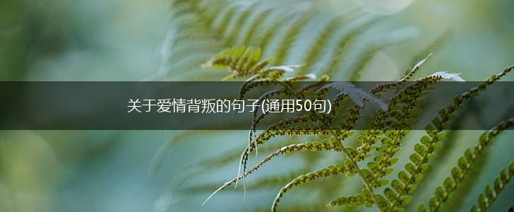 关于爱情背叛的句子(通用50句),第1张