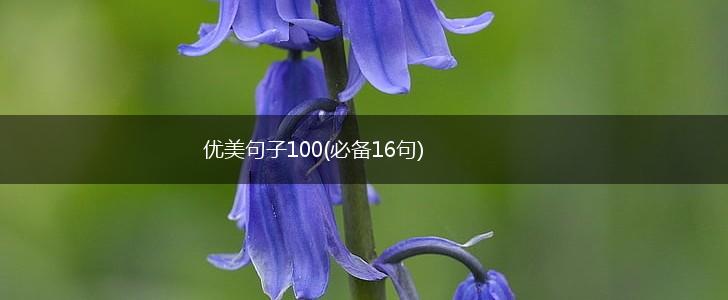 优美句子100(必备16句),第1张