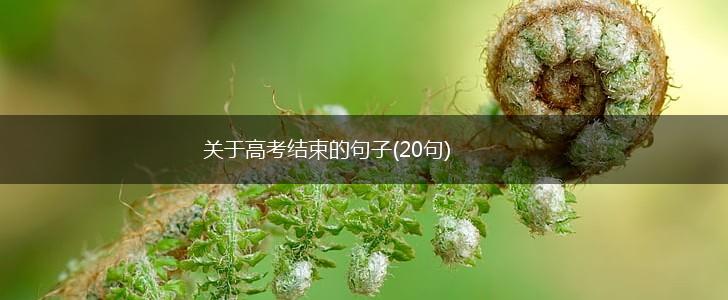 关于高考结束的句子(20句),第1张