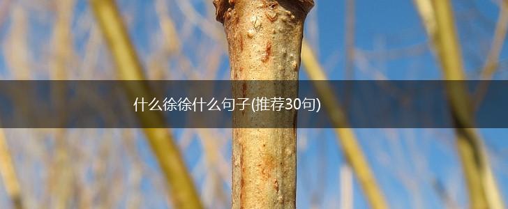 什么徐徐什么句子(推荐30句),第1张