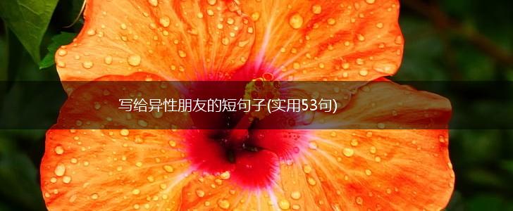 写给异性朋友的短句子(实用53句),第1张