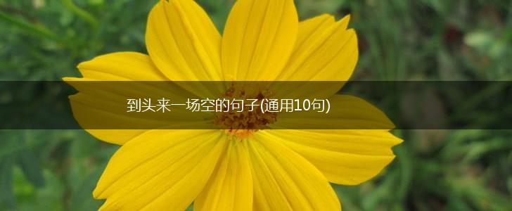 到头来一场空的句子(通用10句),第1张