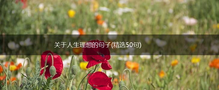 关于人生理想的句子(精选50句),第1张