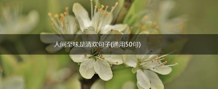 人间至味是清欢句子(通用50句),第1张