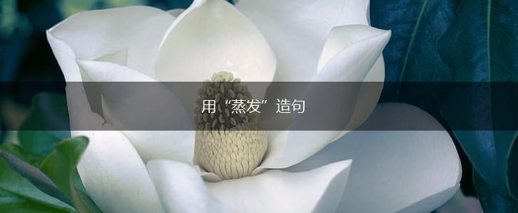 用“蒸发”造句,第1张