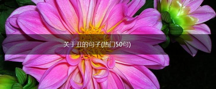 关于丑的句子(热门50句),第1张