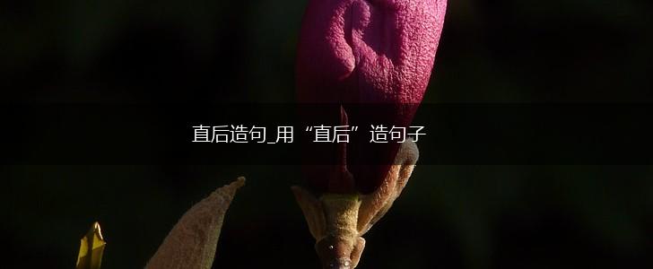 直后造句_用“直后”造句子,第1张