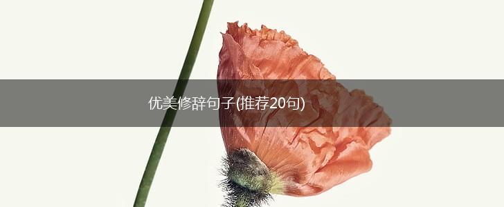 优美修辞句子(推荐20句),第1张