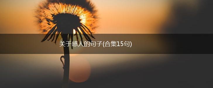 关于感人的句子(合集15句),第1张