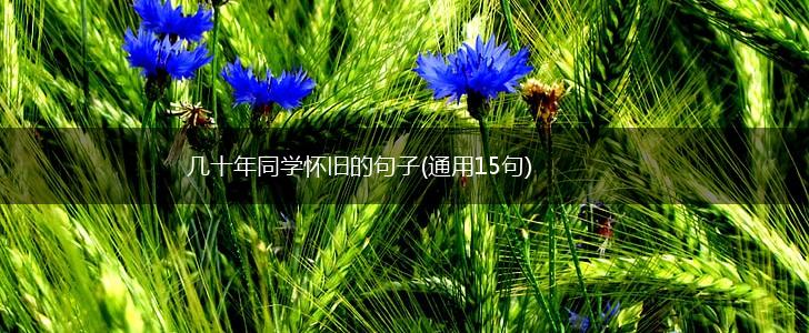 几十年同学怀旧的句子(通用15句),第1张