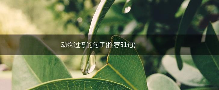 动物过冬的句子(推荐51句),第1张