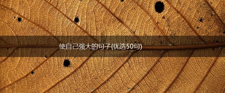使自己强大的句子(优选50句),第1张