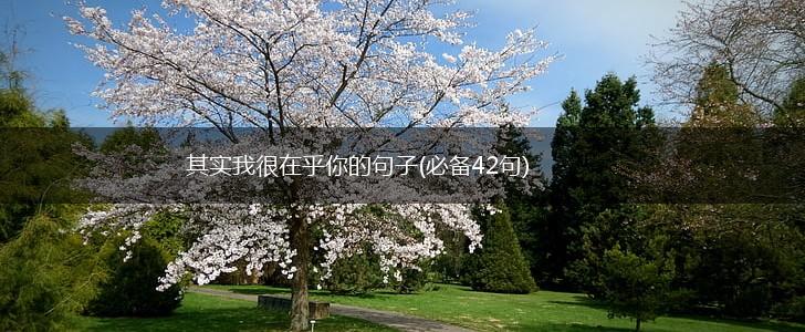 其实我很在乎你的句子(必备42句),第1张