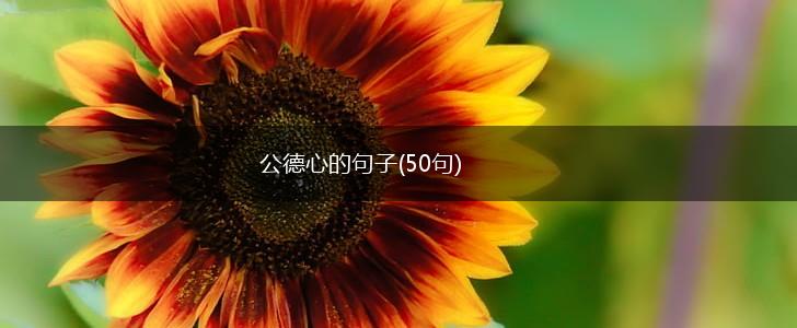 公德心的句子(50句),第1张