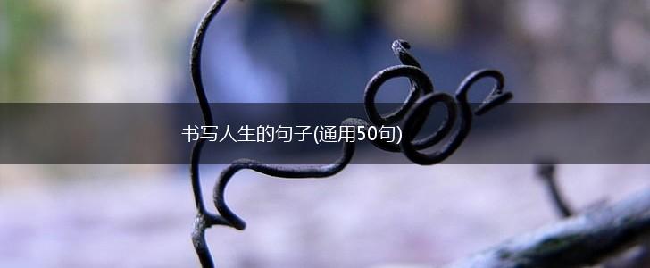 书写人生的句子(通用50句),第1张