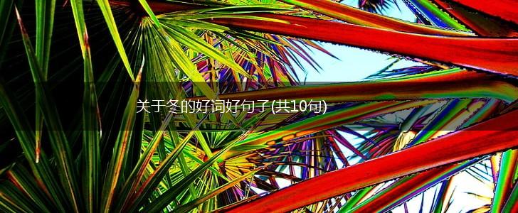 关于冬的好词好句子(共10句),第1张