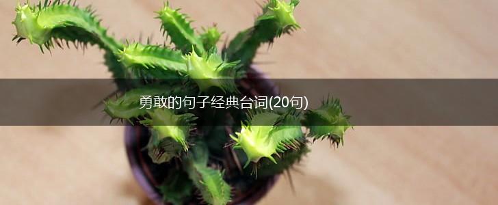 勇敢的句子经典台词(20句),第1张