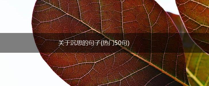 关于沉思的句子(热门50句),第1张