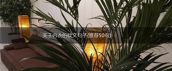 关于内衣的软文句子(推荐50句),第1张