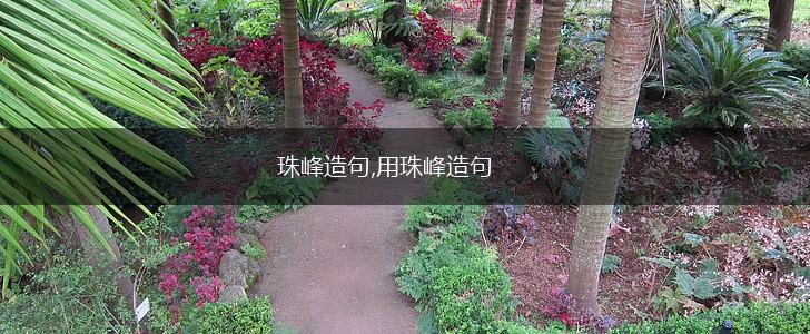 珠峰造句,用珠峰造句,第1张