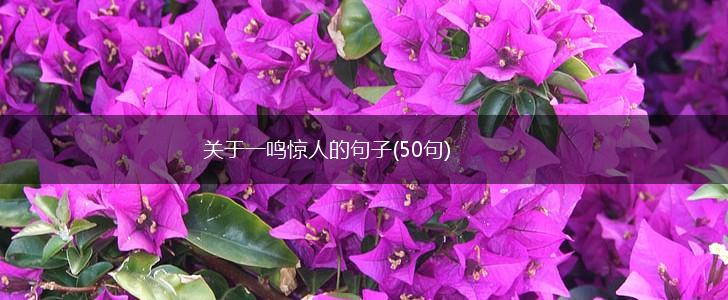 关于一鸣惊人的句子(50句),第1张