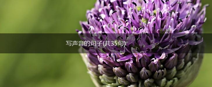 写声音的句子(共35句),第1张