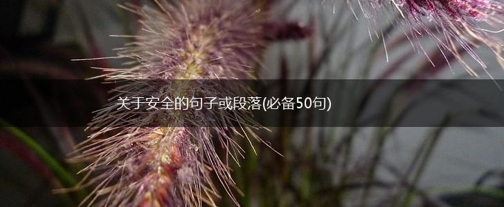 关于安全的句子或段落(必备50句),第1张