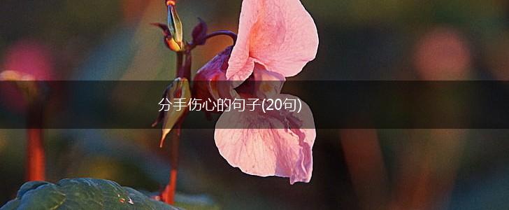 分手伤心的句子(20句),第1张