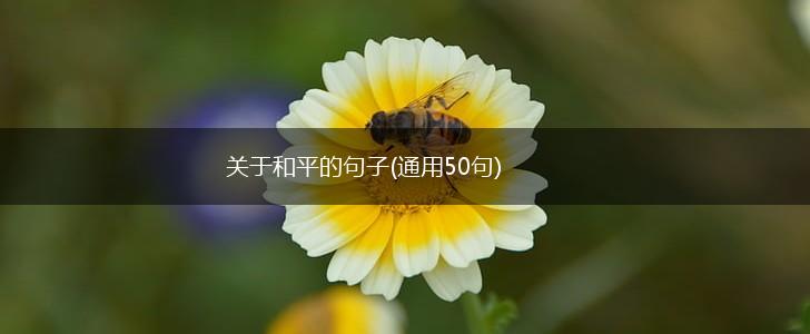 关于和平的句子(通用50句),第1张