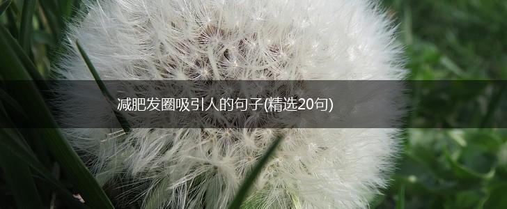 减肥发圈吸引人的句子(精选20句),第1张