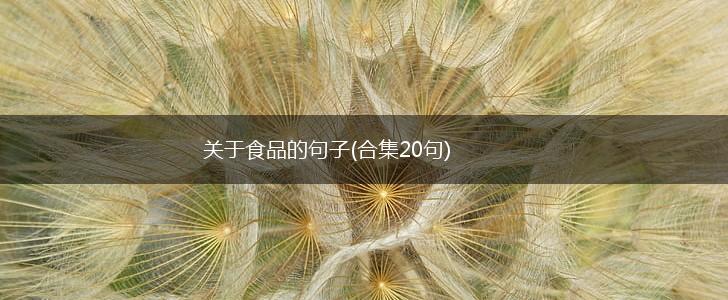 关于食品的句子(合集20句),第1张